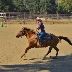 Meet your Posher, Laura